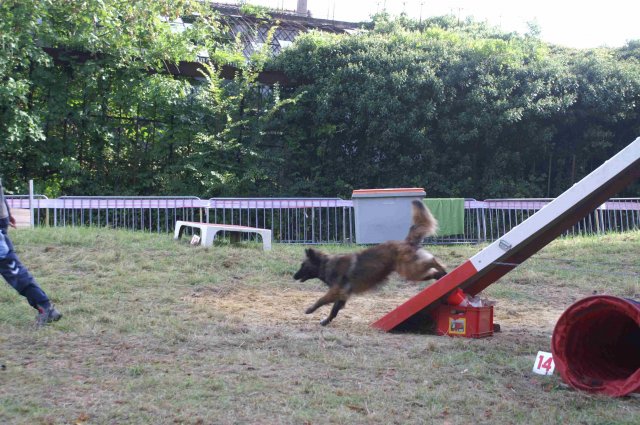 foire-haricots 2011-09-17et18